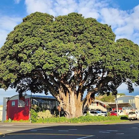 Landmark Manor New Plymouth Exteriör bild