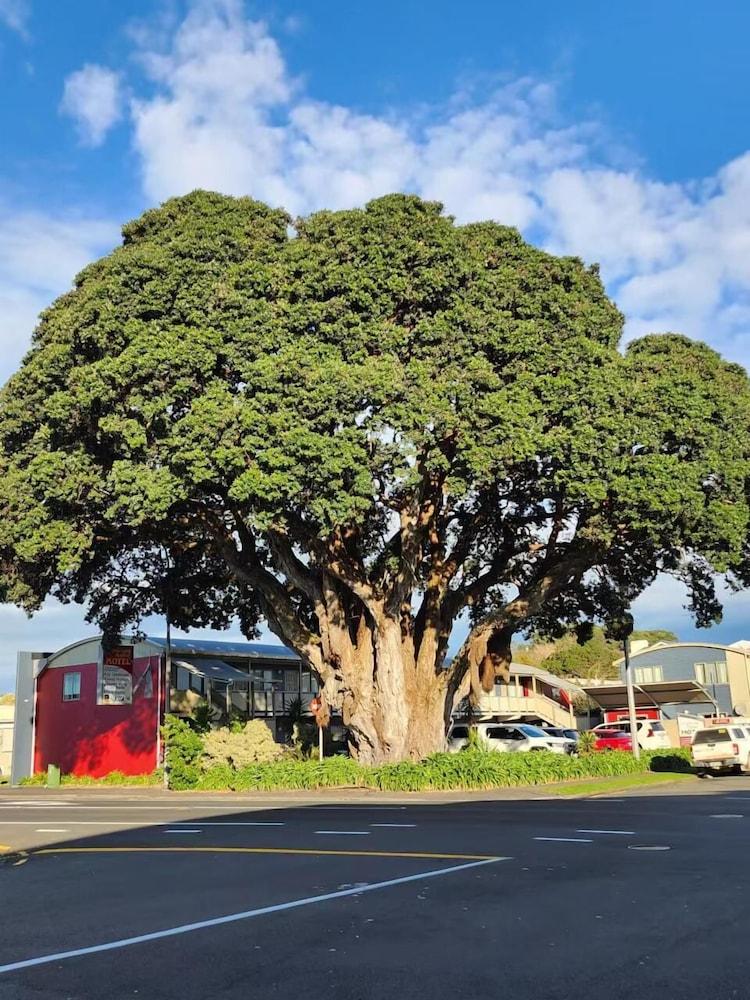 Landmark Manor New Plymouth Exteriör bild