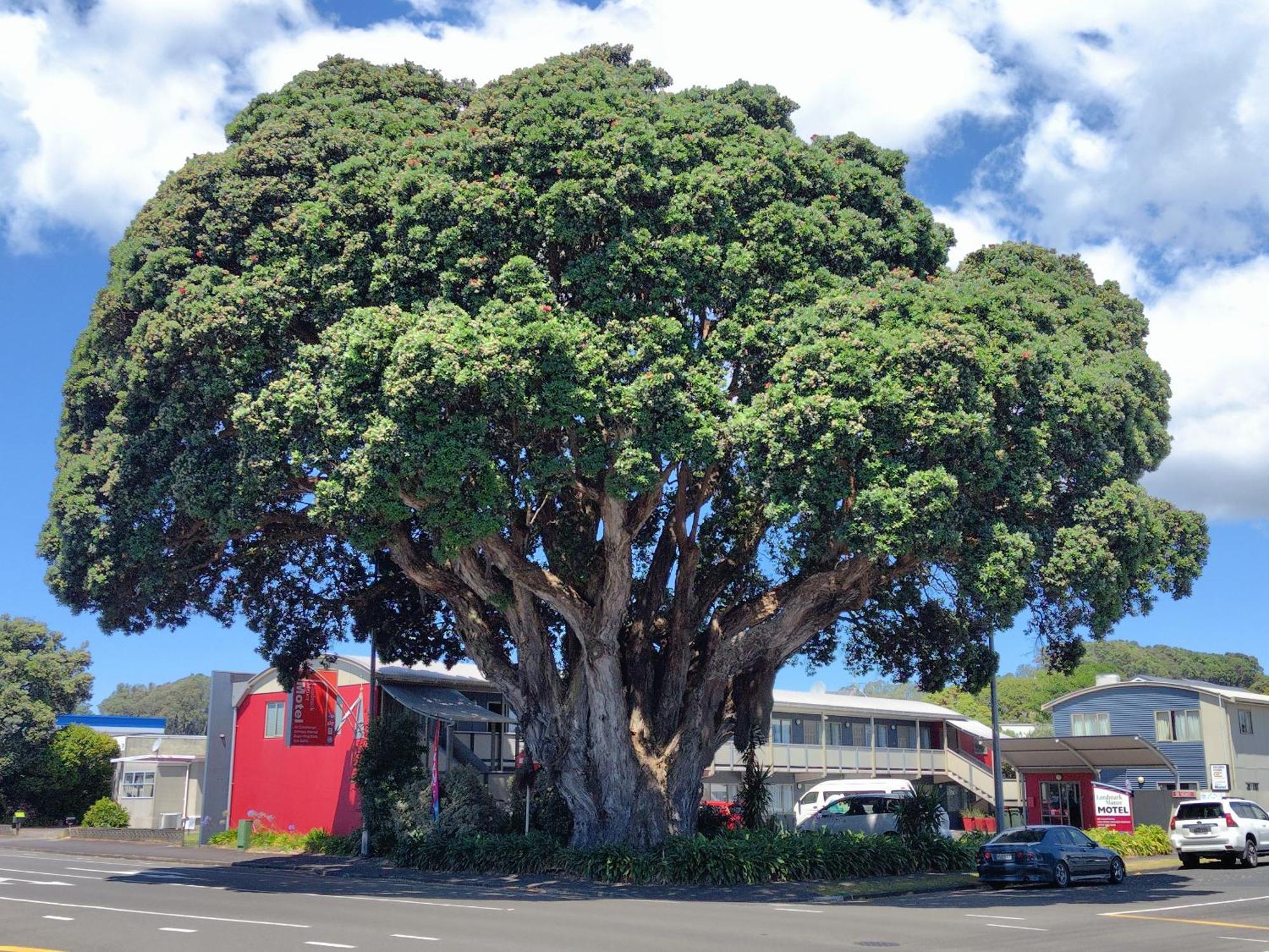 Landmark Manor New Plymouth Exteriör bild